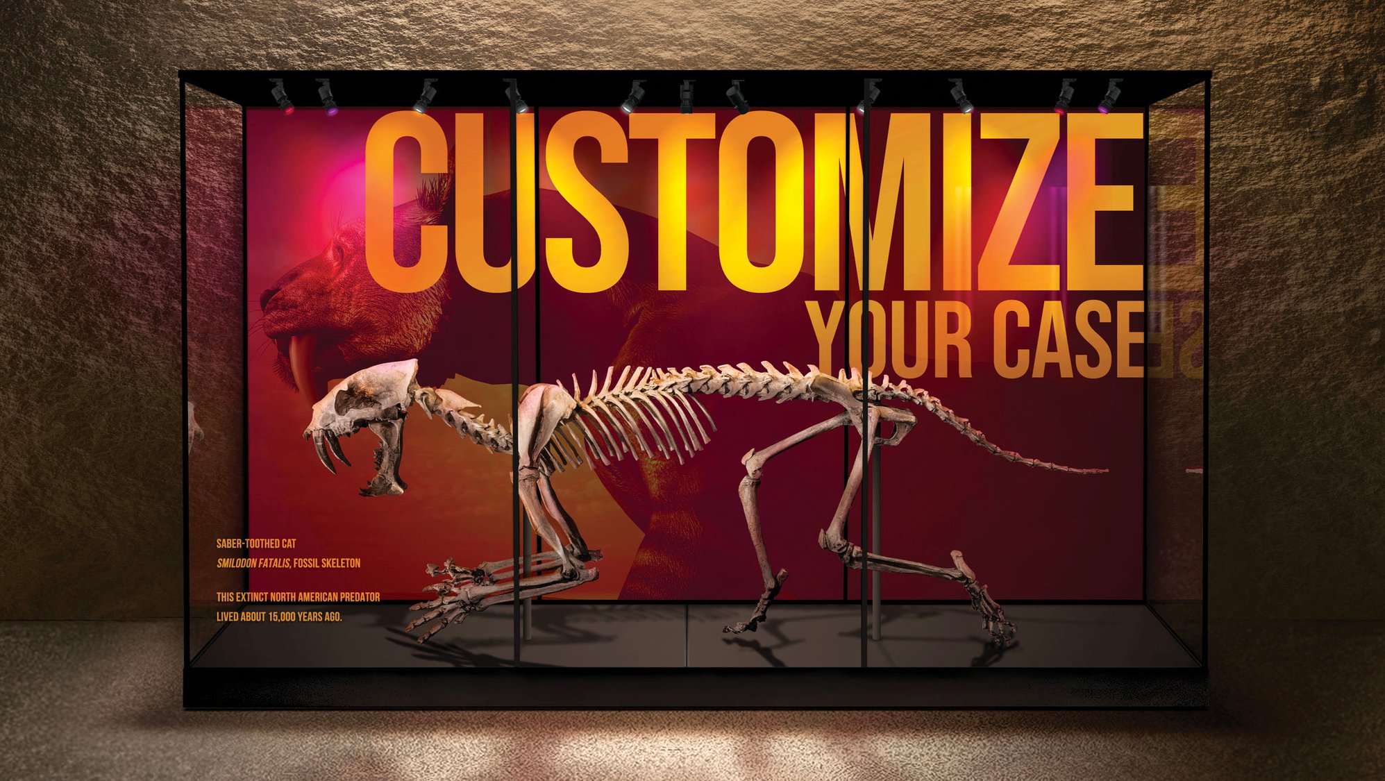 Fossil inside a long exhibit case with Pleistocene Fossil Expo on back panels