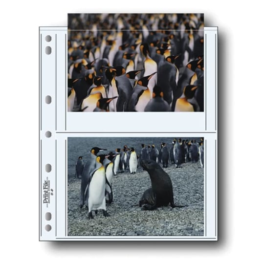 Print File® Polypropylene Album Pages
