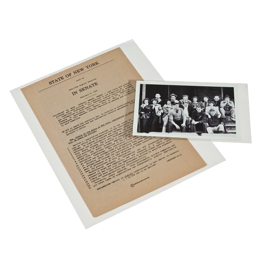 Gaylord Archival® 3 mil Archival Polyester L-Sleeves
