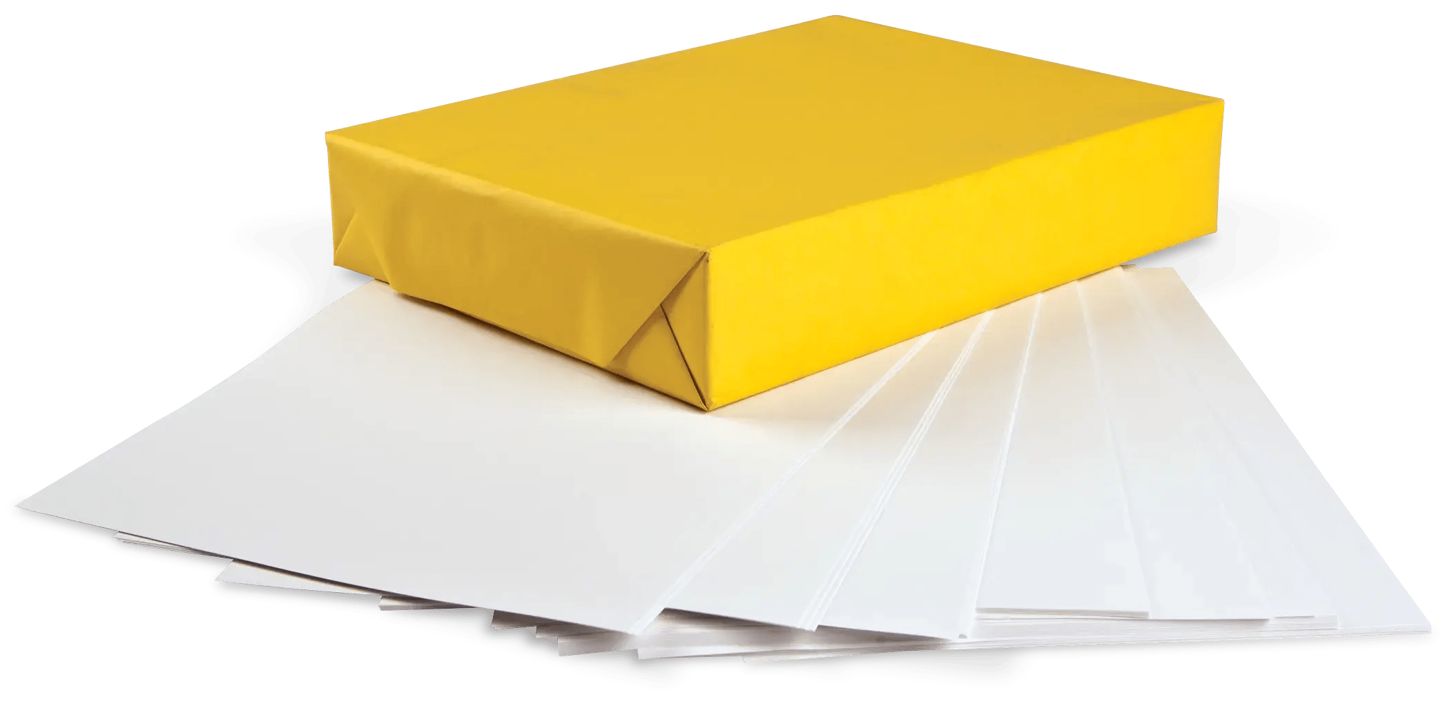 Permalife 20 lb. Bond Paper