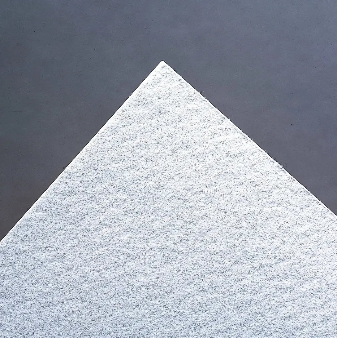 Unbuffered Blotting Paper 