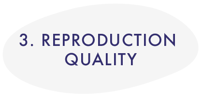 3. Reproduction Quality